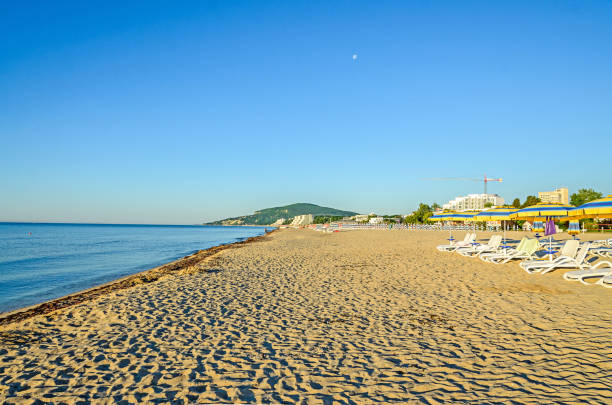 le rivage de la mer noire d’albena, bulgarie avec sable doré, bleu eau douce, transats et parasols près de beach hôtels - kaliakra photos et images de collection