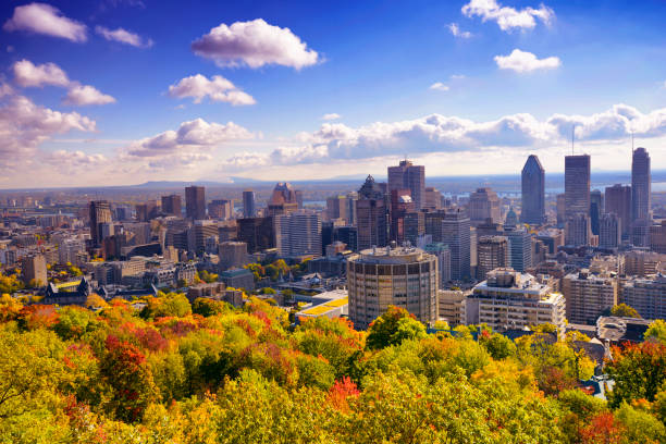 istock Montreal skyline with autumn foliage 830398778