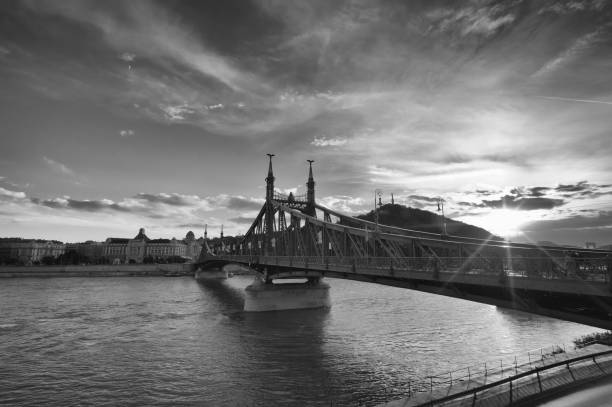 istock Beautiful Freedom Bridge over the Danube. 830401390