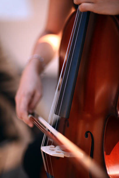 istock Music Bass Symmetry 830404620