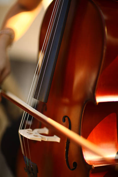 istock Music Bass Symmetry 830404624