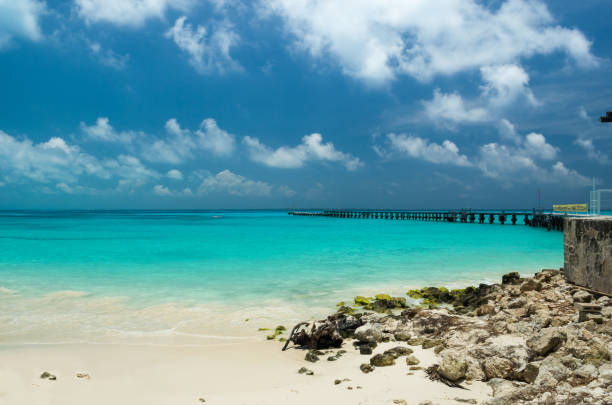 istock View of the sea from cancun beach 830404918
