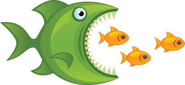 Fishing Stock Illustration - Download Image Now - Fish, Large, Eating -  iStock