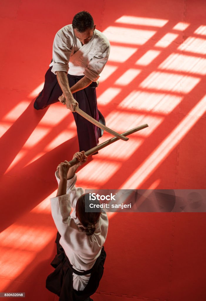 10 Migliori Xgmsd Bokken Di Pratica In Italia