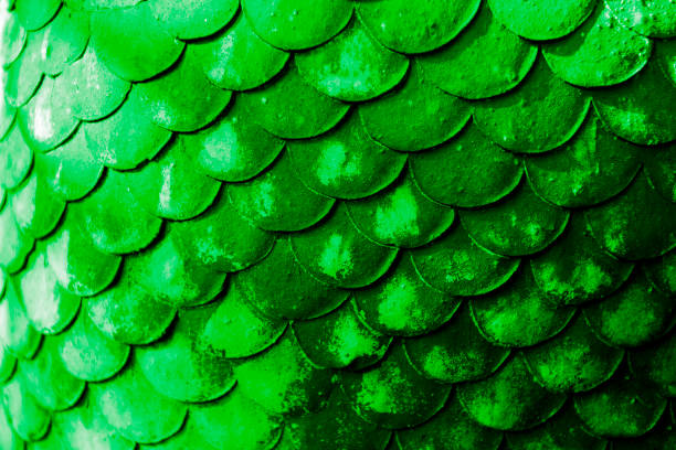 istock Green or emerald color texture pattern abstract background can be use as wall paper screen saver brochure cover page or for presentation background also have copy space for text. 830443282