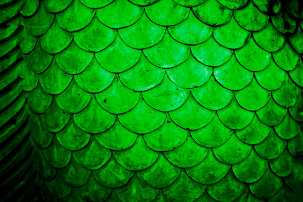 istock Green or emerald color texture pattern abstract background can be use as wall paper screen saver brochure cover page or for presentation background also have copy space for text. 830443348