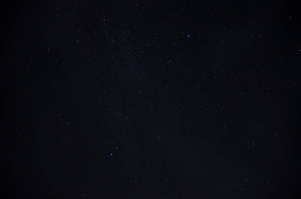 a beautiful night sky, the Milky Way and the trees