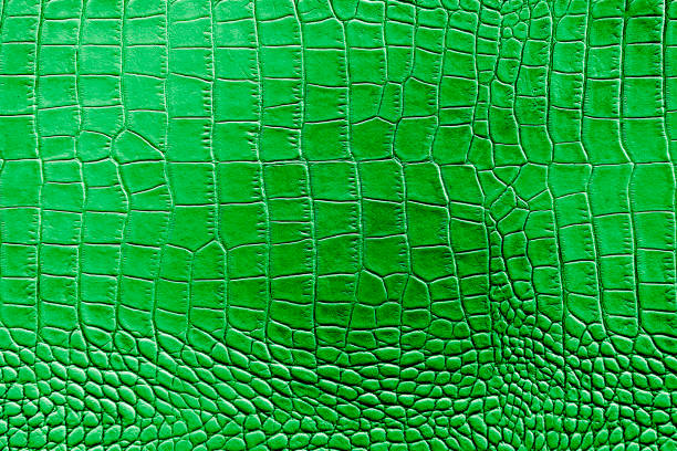 istock Green or emerald color texture pattern abstract background can be use as wall paper screen saver brochure cover page or for presentation background also have copy space for text. 830491306