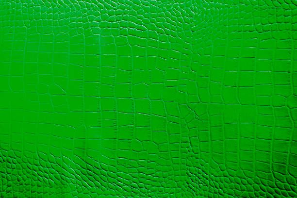 istock Green or emerald color texture pattern abstract background can be use as wall paper screen saver brochure cover page or for presentation background also have copy space for text. 830493768