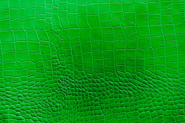 istock Green or emerald color texture pattern abstract background can be use as wall paper screen saver brochure cover page or for presentation background also have copy space for text. 830494598