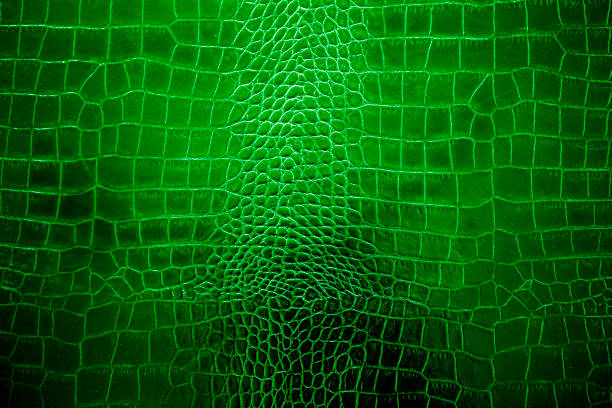 istock Green or emerald color texture pattern abstract background can be use as wall paper screen saver brochure cover page or for presentation background also have copy space for text. 830495280
