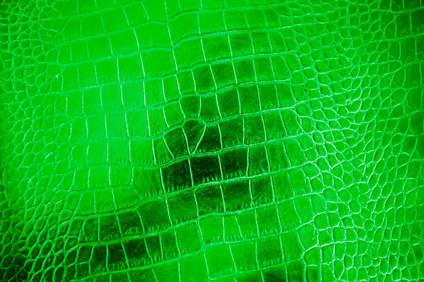 istock Green or emerald color texture pattern abstract background can be use as wall paper screen saver brochure cover page or for presentation background also have copy space for text. 830496034