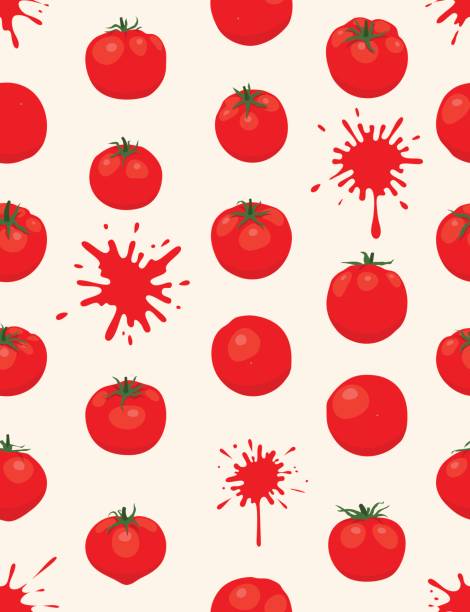 illustrations, cliparts, dessins animés et icônes de la tomatina fond [modèle sans couture de tomates] - white tomato backgrounds vegetable