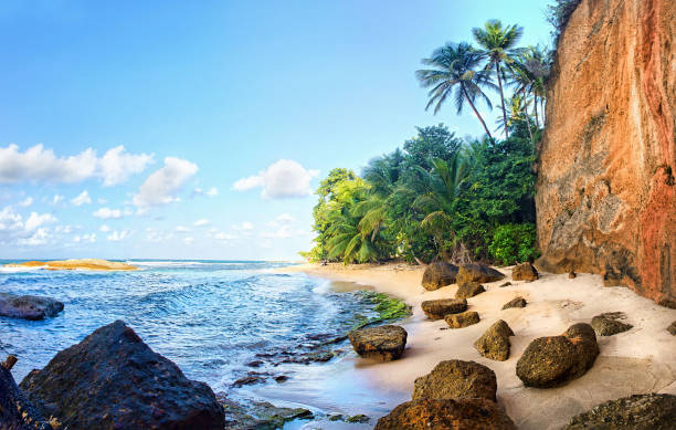 pláž pointe baptiste, calibishie, dominika - dominika - stock snímky, obrázky a fotky