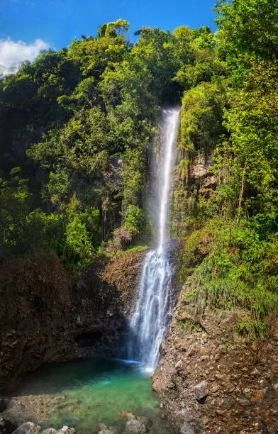 one of most picturesque waterfalls on "Nature Island" Dominica, West Indies (Eastern Caribbean). It is a moderately easy one hour hike to see it.