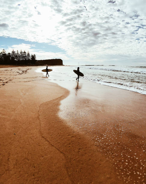 istock people surfing in australia 830517744