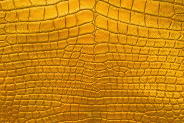 istock Gold Crocodile Skin Texture Background. 830518222