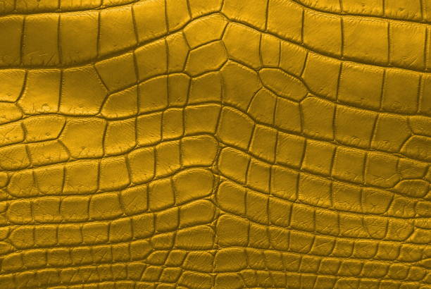 istock Gold Crocodile Skin Texture Background. 830519886