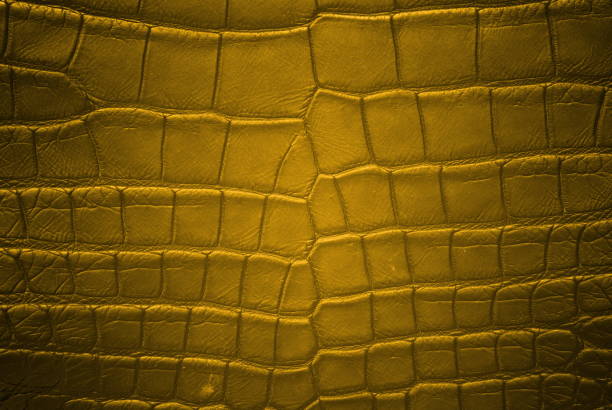 istock Gold Crocodile Skin Texture Background. 830524876
