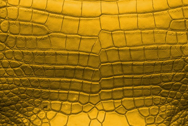 istock Gold Crocodile Skin Texture Background. 830527358