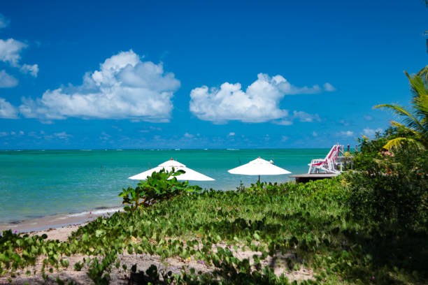 Red Lawn chairs near tropical beach.