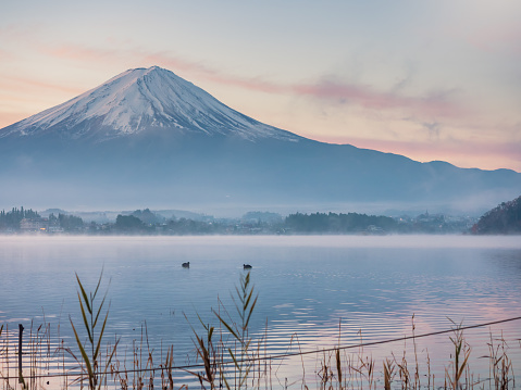 motion blur from  two duck floating on lake foreground and fuji mountain background with fog from japan