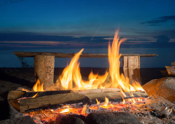 istock Night fire on the lake shore. Lake Baikal 830547950