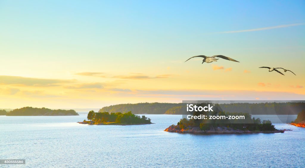 Paisagem escandinava com gaivotas - Foto de stock de Suécia royalty-free