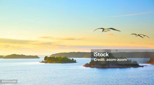 Foto de Paisagem Escandinava Com Gaivotas e mais fotos de stock de Suécia - Suécia, Verão, Acima