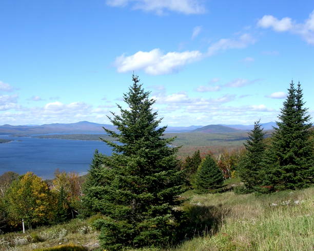 istock Mooselookmeguntic Lake 830560316