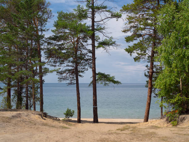istock Sandy shore of Lake Baikal 830561292