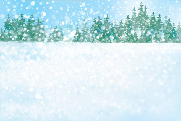 bildbanksillustrationer, clip art samt tecknat material och ikoner med vector vintern skog bakgrund. - winter wonderland