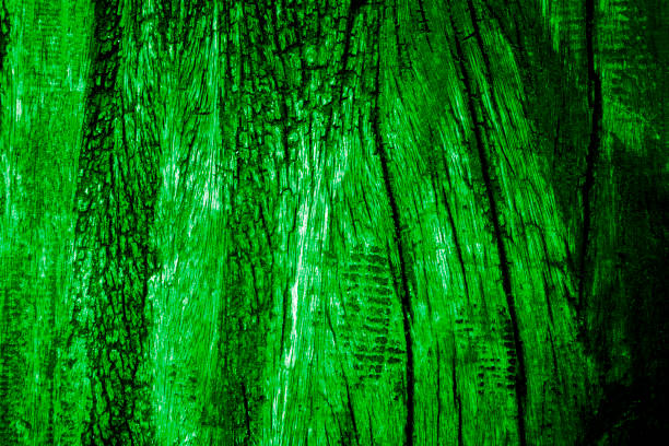 istock Green or emerald color texture pattern abstract background can be use as wall paper screen saver brochure cover page or for presentation background also have copy space for text. 830594270