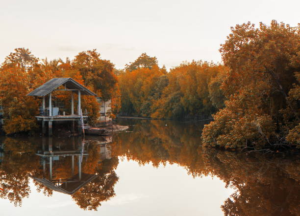 istock Pavilion in autumn forest with water 830595114