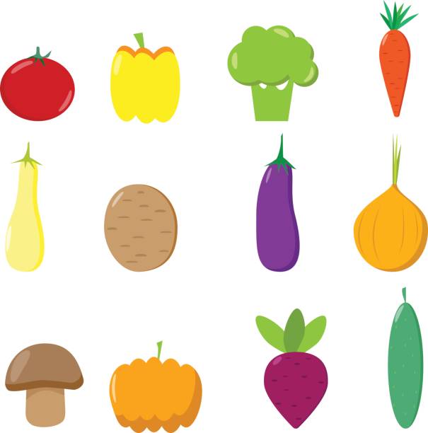 설정된 벡터 야채, 버섯 - child vegetable squash corn stock illustrations
