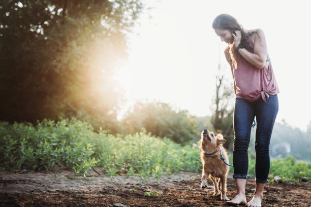 A middle aged women enjoys time outdoors on a beautiful sunny day with her pet, the dog appreciating the time in nature.  A depiction of the love and friendship that having an animal brings.