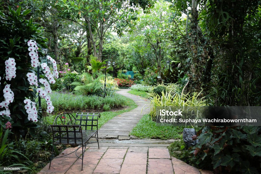 The garden is decorated in tropical jungle style for relaxation. Yard - Grounds Stock Photo