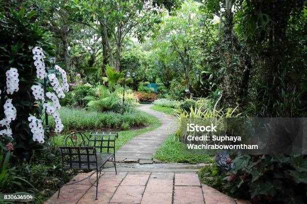 The Garden Is Decorated In Tropical Jungle Style For Relaxation Stock Photo - Download Image Now