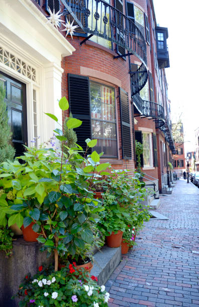 istock Row houses in Boston 830642268