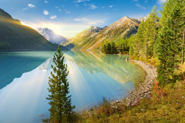 istock Beautiful summer landscape, Altai mountains Russia. 830649846