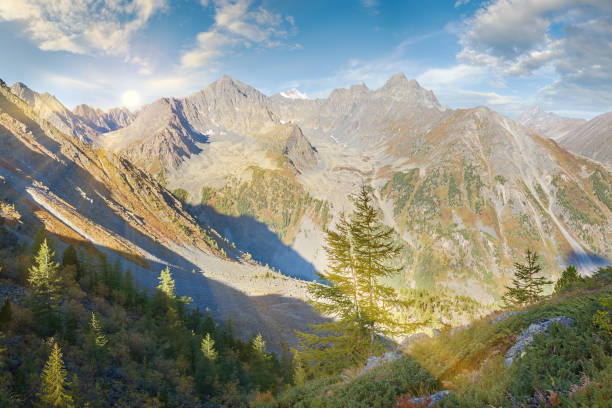 bellissimo paesaggio autunnale, montagne altai russia. - flowing rock national park waterfall foto e immagini stock