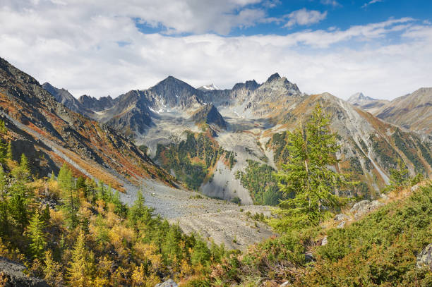 bellissimo paesaggio autunnale, montagne altai russia. - flowing rock national park waterfall foto e immagini stock