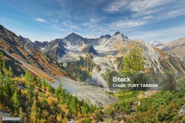 Wunderschöne Herbstlandschaft Altaigebirge Russland Stockfoto und mehr Bilder von Abenddämmerung