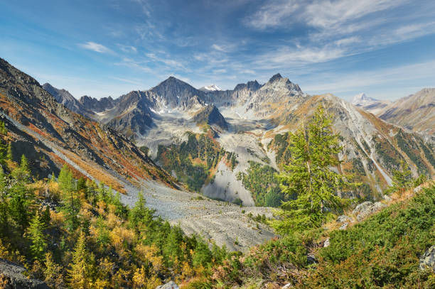 bellissimo paesaggio autunnale, montagne altai russia. - flowing rock national park waterfall foto e immagini stock