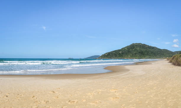 istock Brava Beach - Florianopolis, Santa Catarina, Brazil 830651118