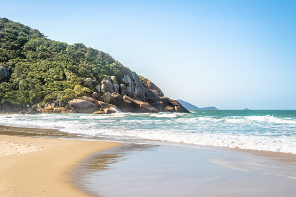 Brava Beach - Florianopolis, Santa Catarina, Brazil Brava Beach - Florianopolis, Santa Catarina, Brazil santa catarina brazil stock pictures, royalty-free photos & images