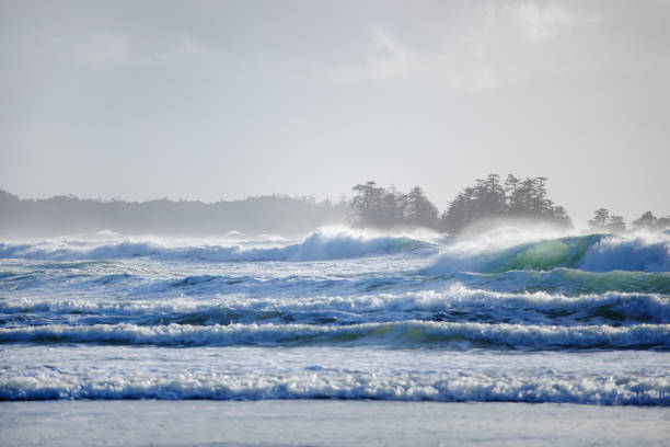 stormy coastline in tofino - storm summer forest cloudscape imagens e fotografias de stock