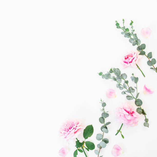 istock Flowers pattern of pink rose flowers and eucalyptus branches. Flat lay, top view 830682822