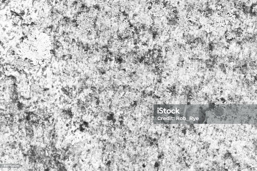 Abstract Whitestone White Stone Surface As Background Abstract White Texture Stock Photo ...