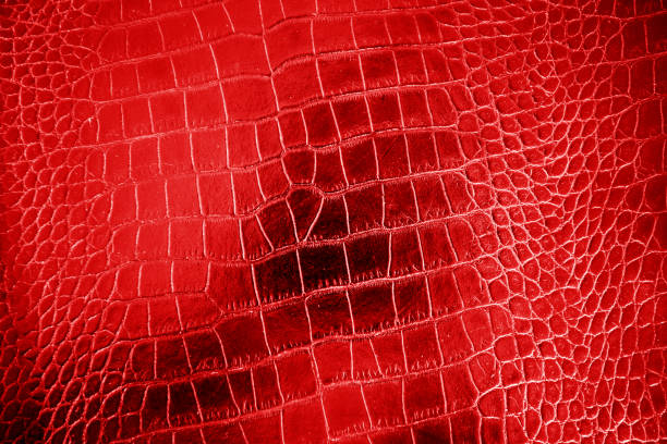 istock Red color texture pattern abstract background can be use as wall paper screen saver brochure cover page or for presentation background also have copy space for text. 830722054
